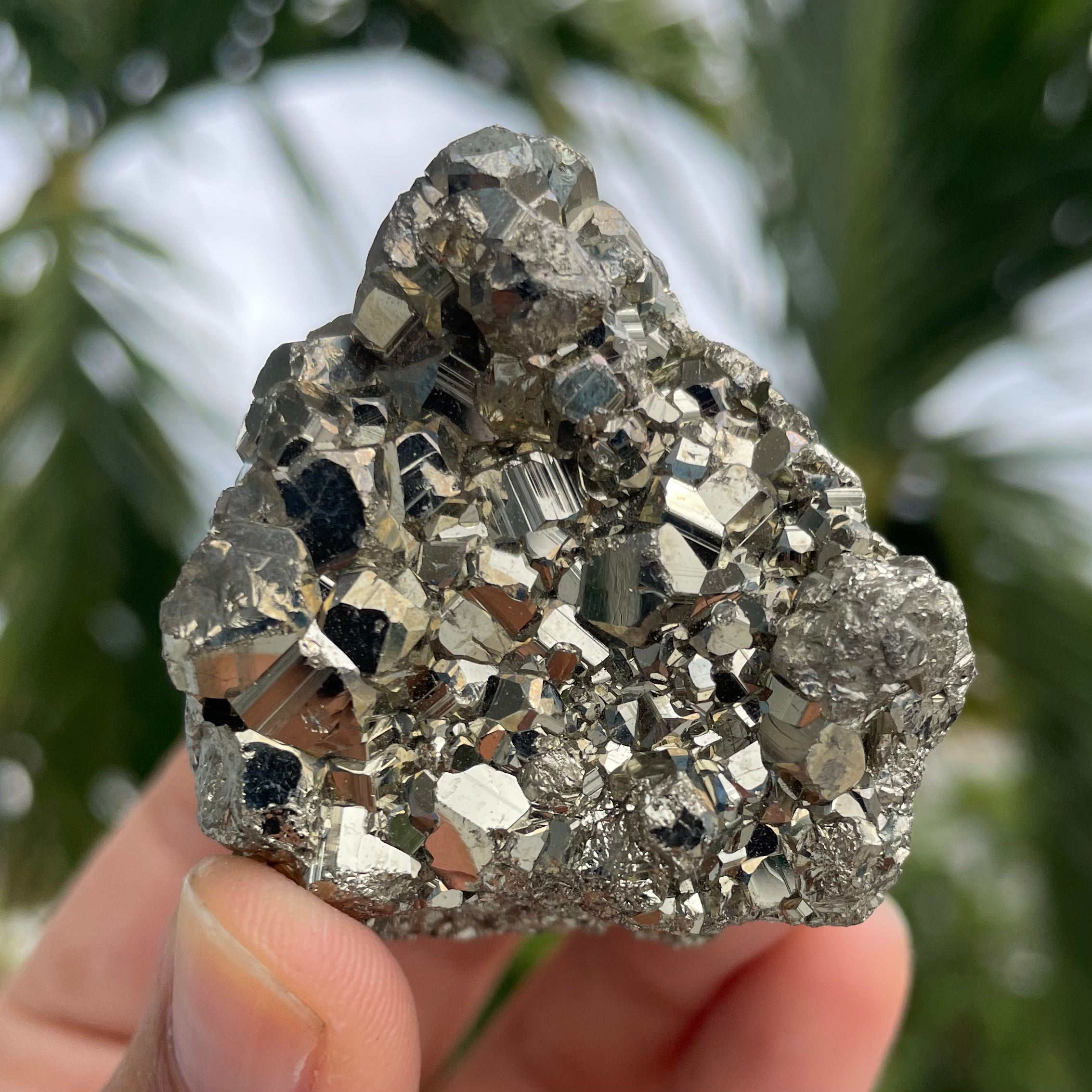 Pyrite #1459 – lemuriacrystalshop