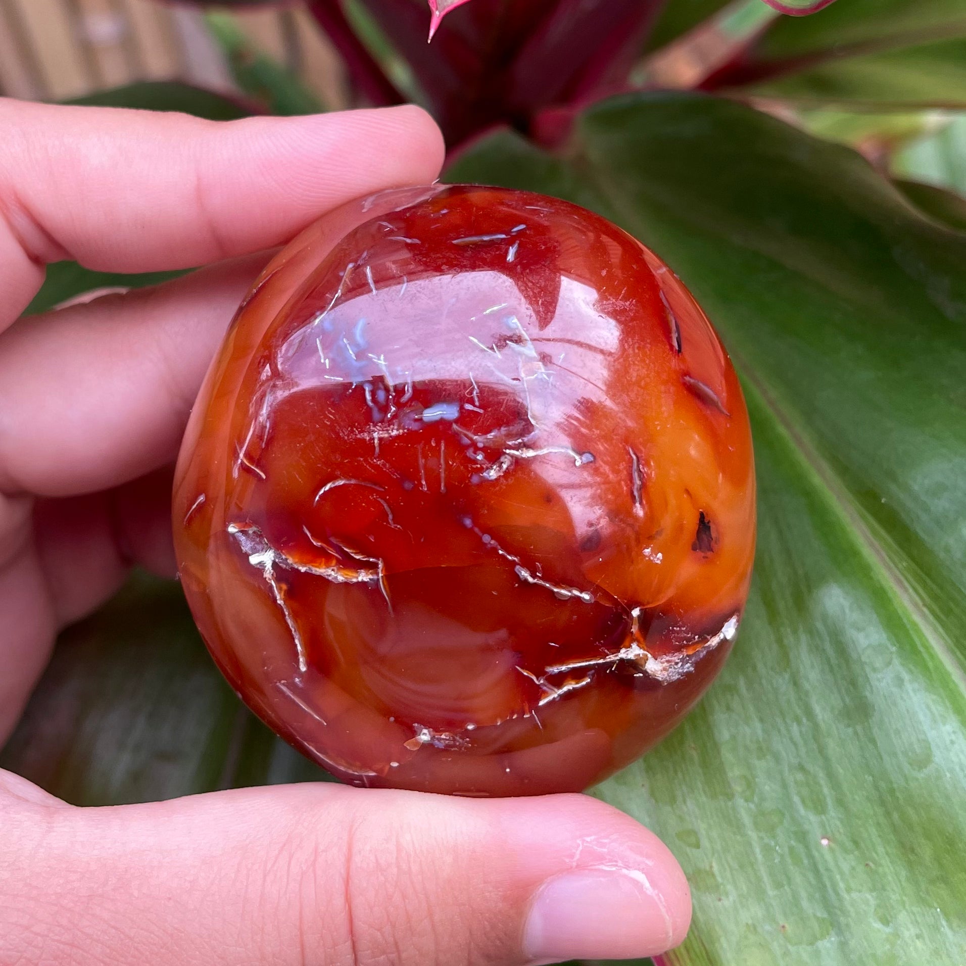Carnelian #1219 – lemuriacrystalshop