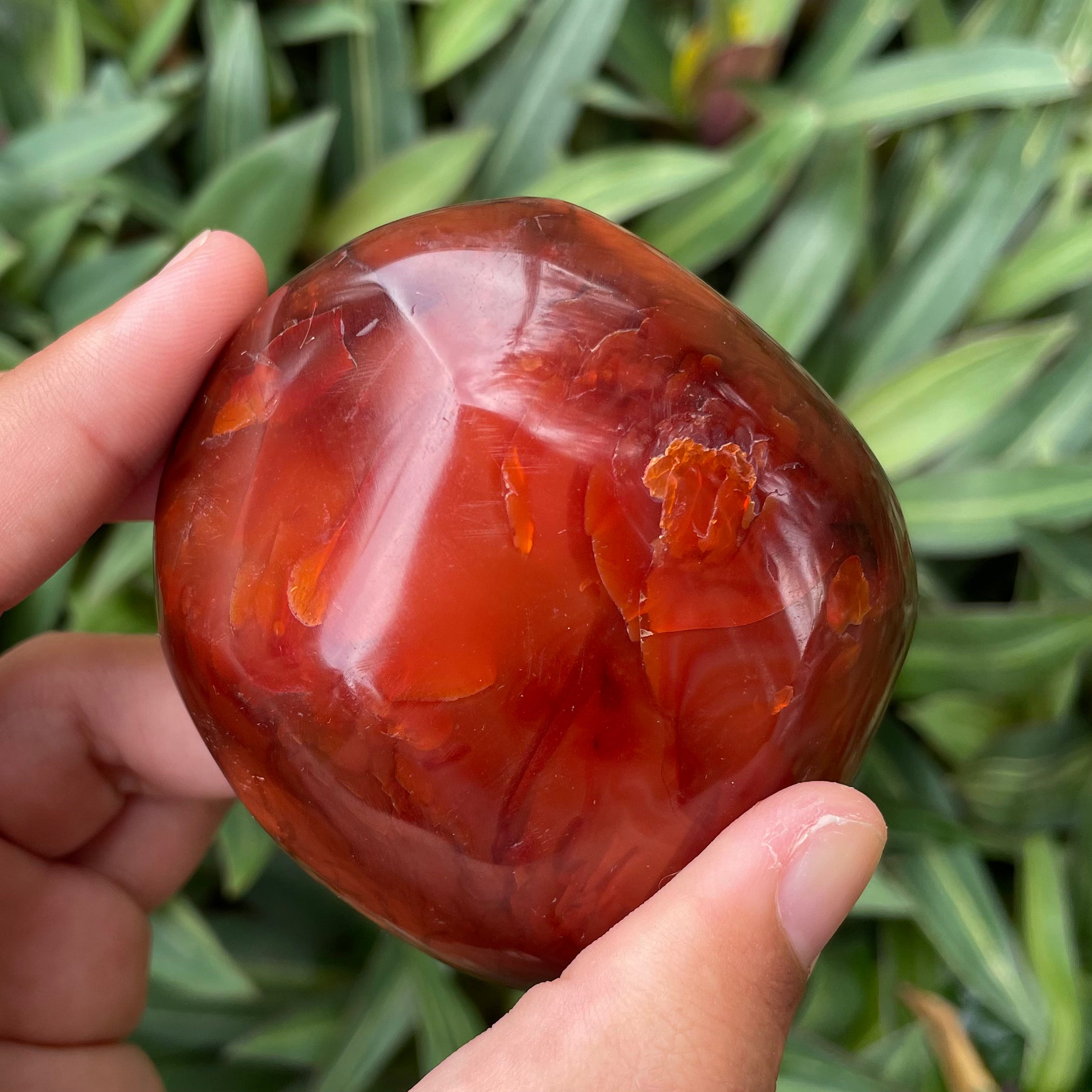Carnelian #1211 – lemuriacrystalshop