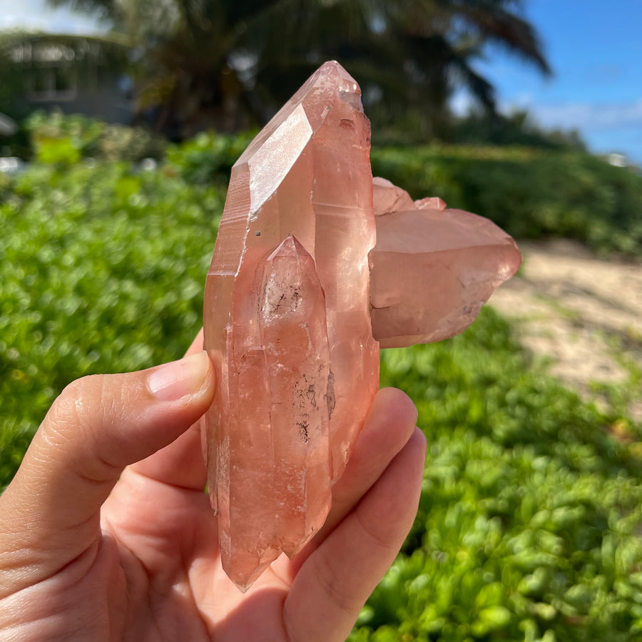 Rose Lemurian Quartz Crystal #1091