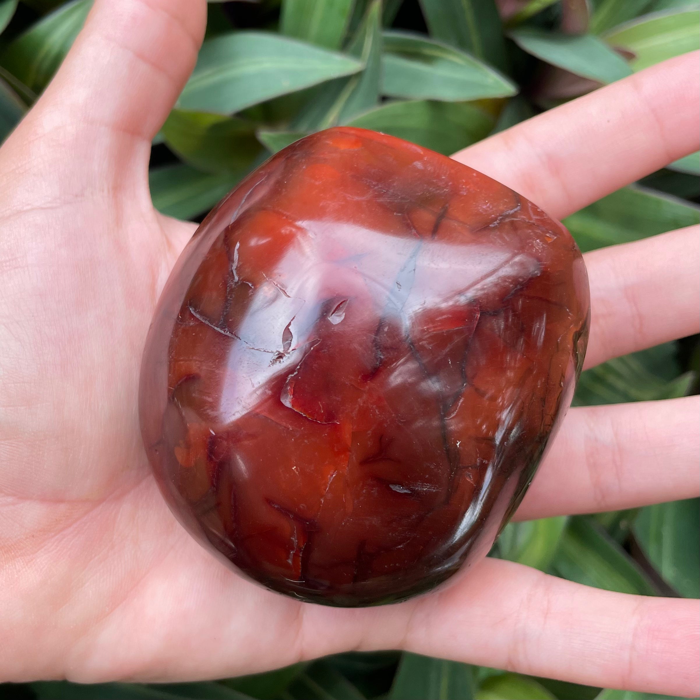 Carnelian #1211 – lemuriacrystalshop