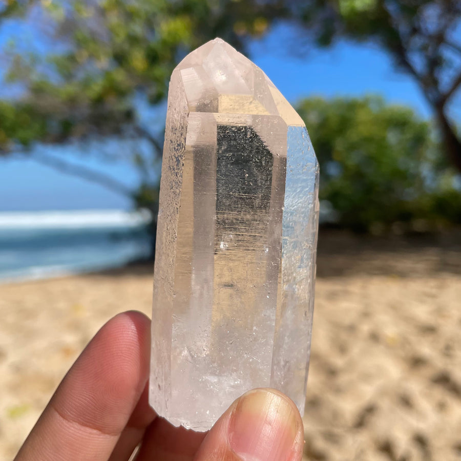 Clear Lemurian Quartz Crystal #1084