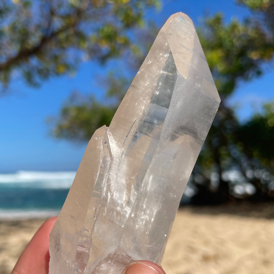 Clear Lemurian Quartz Crystal #1078