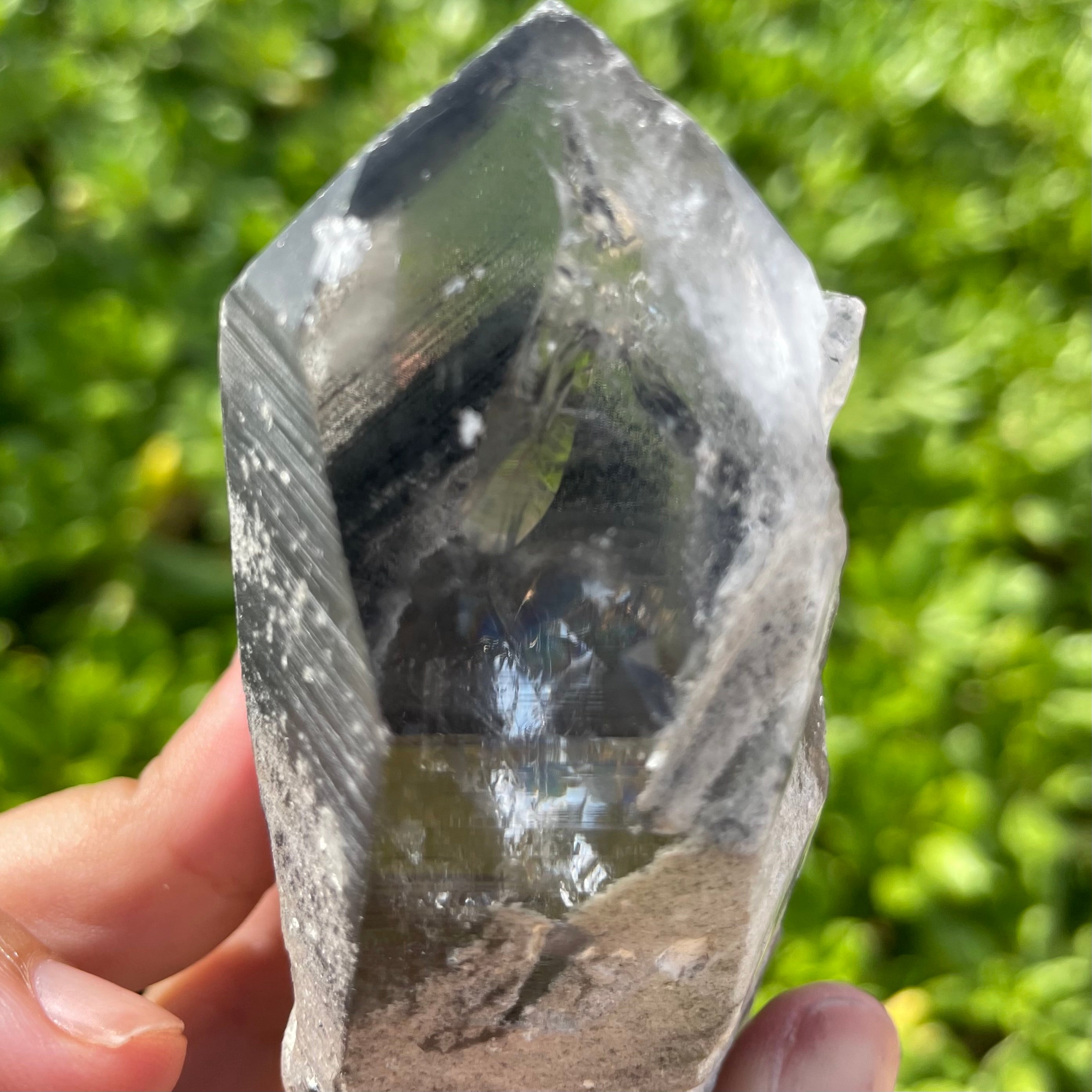 Phantom Lemurian Quartz Crystal #1119