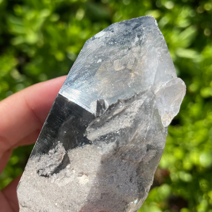 Phantom Lemurian Quartz Crystal #1119