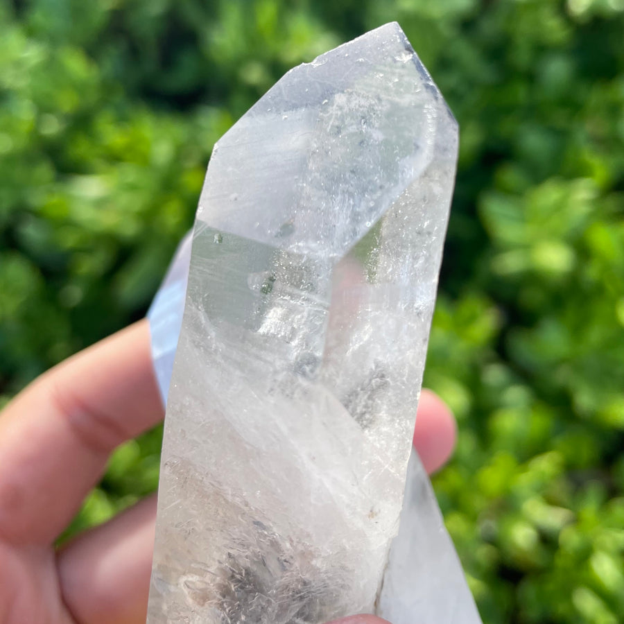 Phantom Lemurian Quartz Crystal #1113
