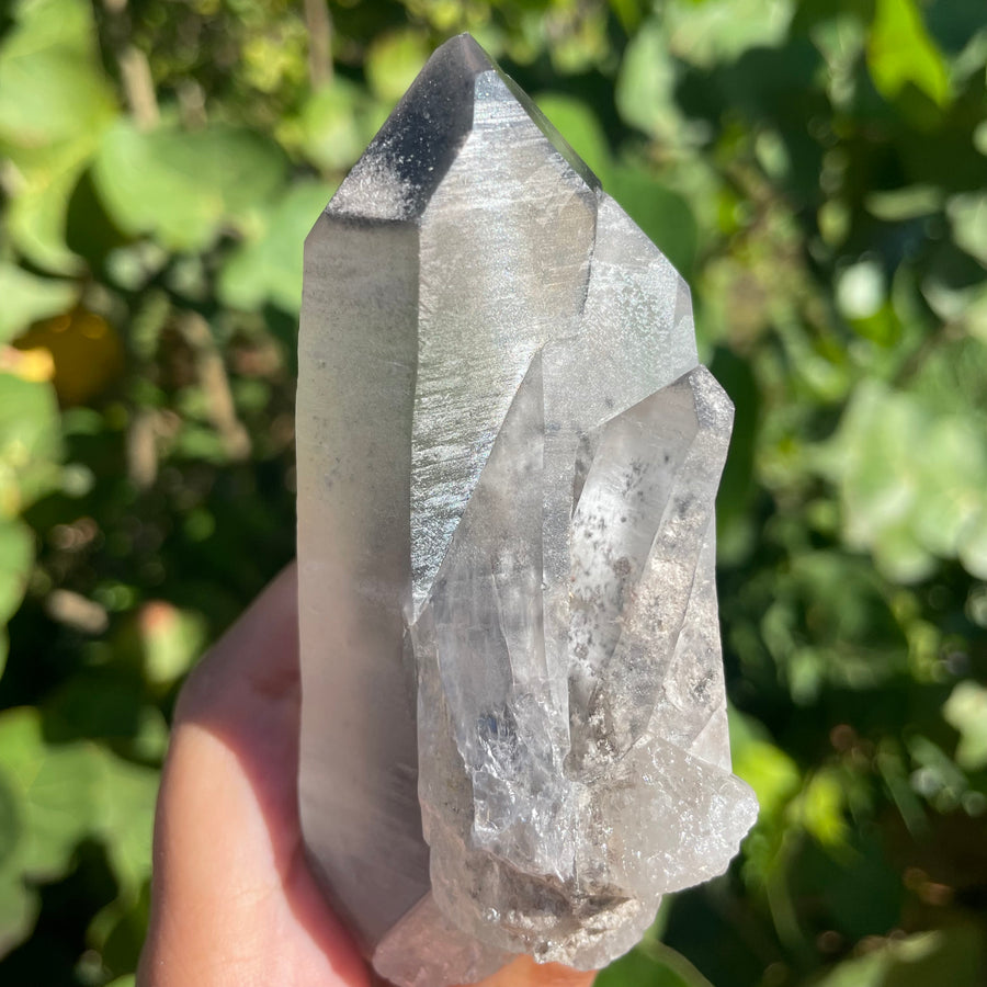 Phantom Lemurian Quartz Crystal #1111
