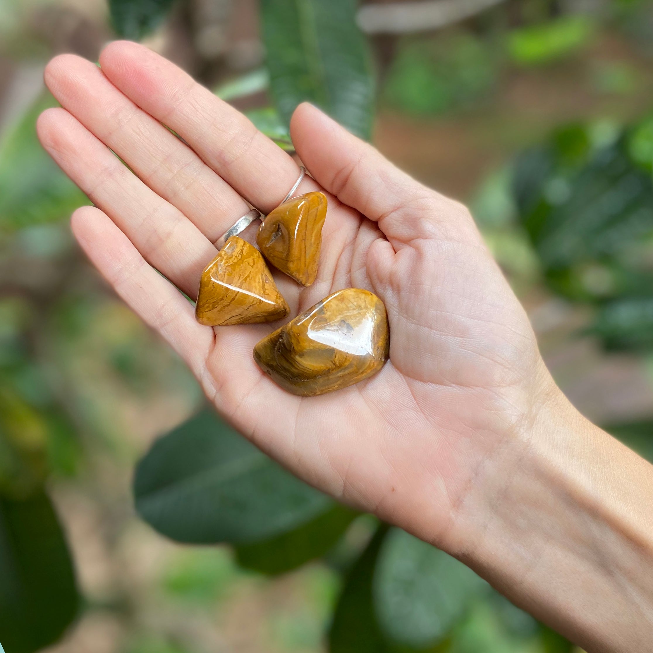 3x Yellow Jasper Tumble Set! – lemuriacrystalshop