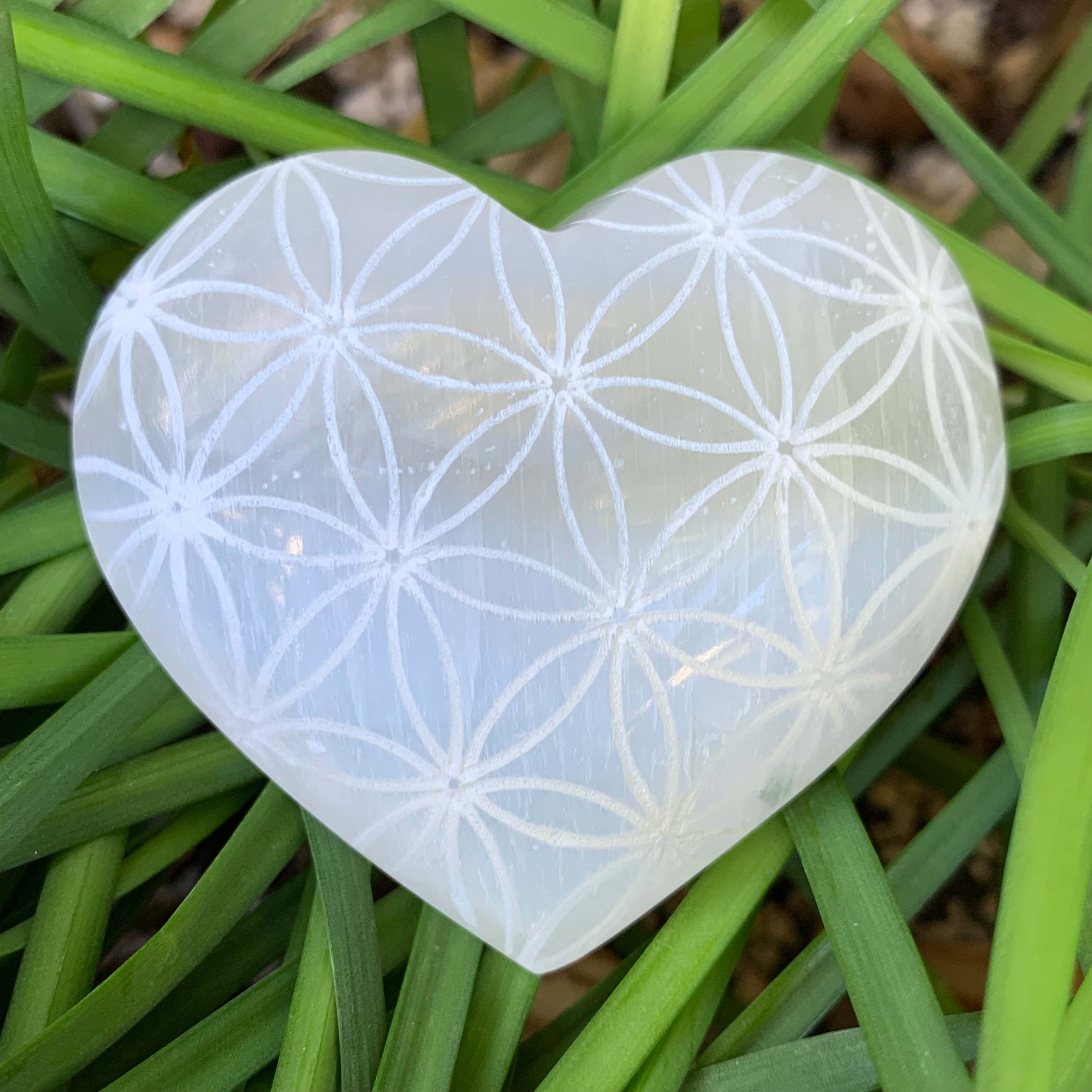 Selenite Succulent Heart Crystal hot Planter