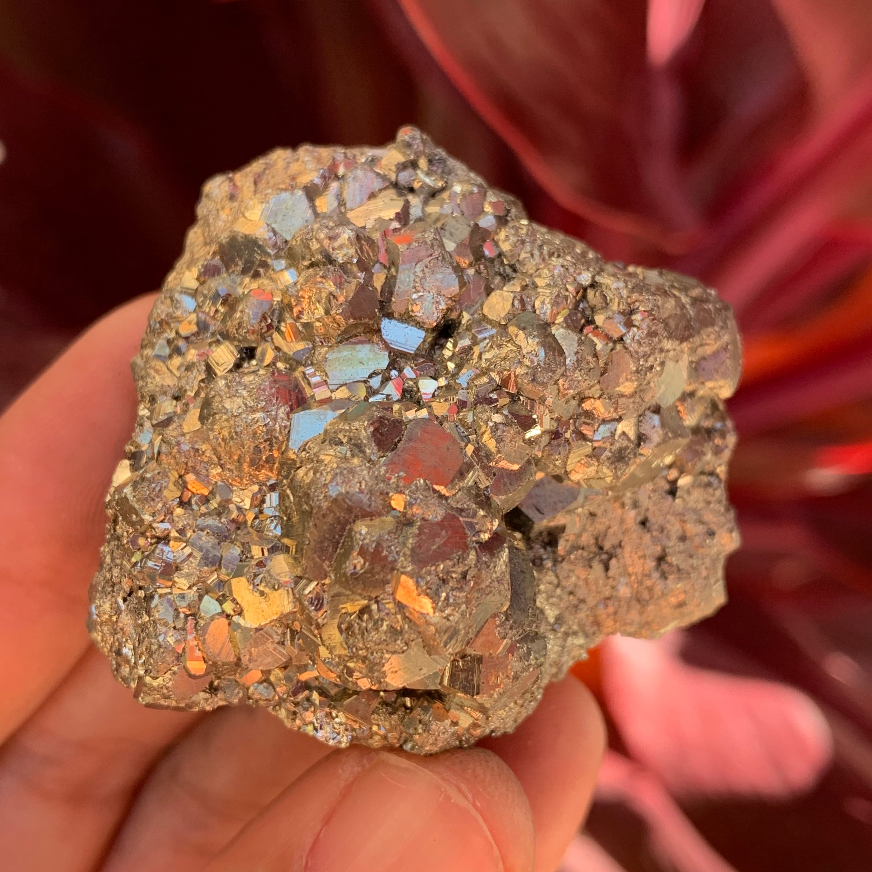 Pyrite #43 – lemuriacrystalshop