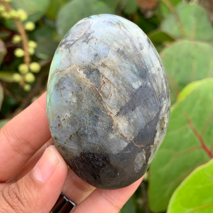 Labradorite Palm Stone #18