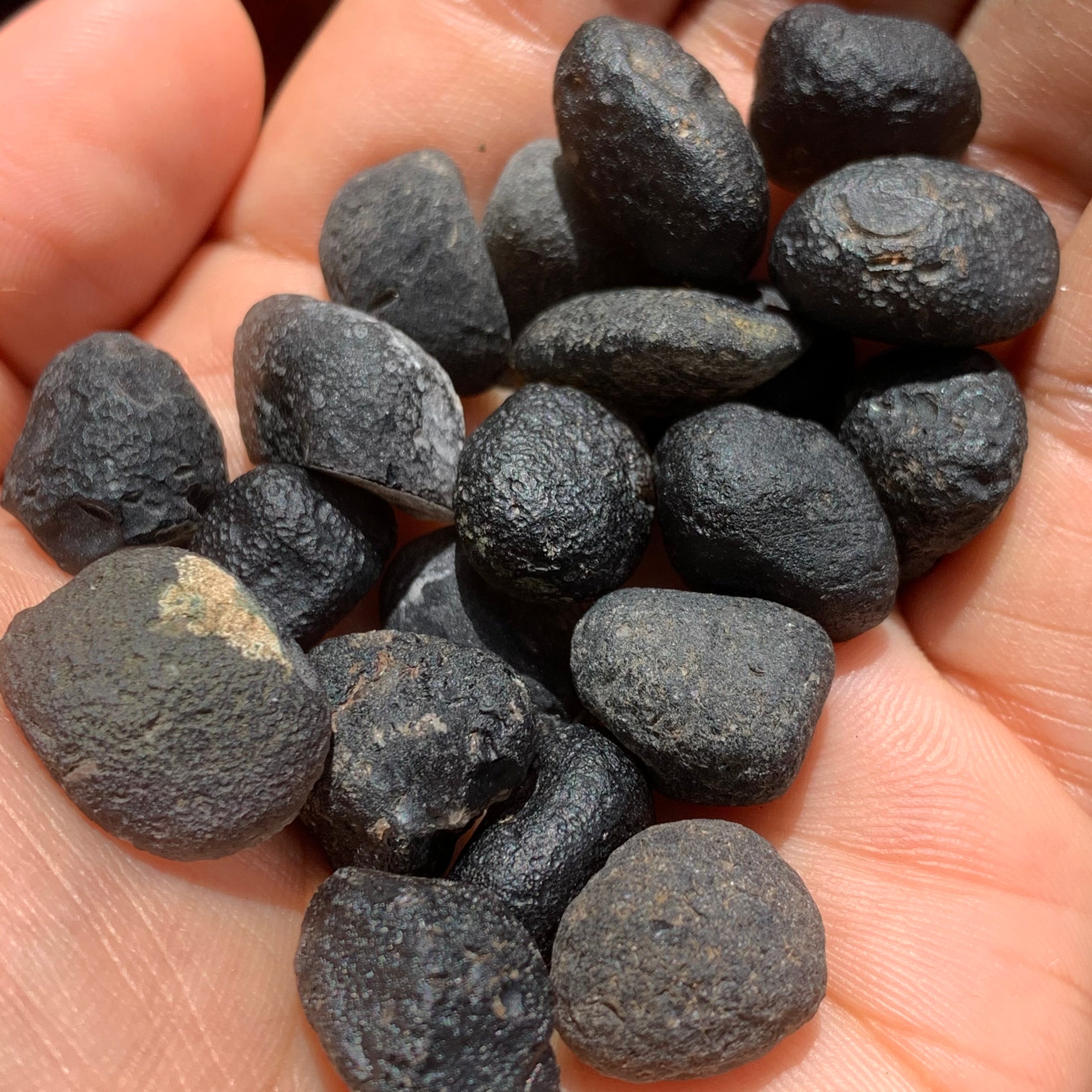 Bulk outlet Saffordites 2-3.99 gram size/4 ounces/114 grams/Cintamani/Tektite/ Energy Stone/ healing stone/wholesale/ grid work