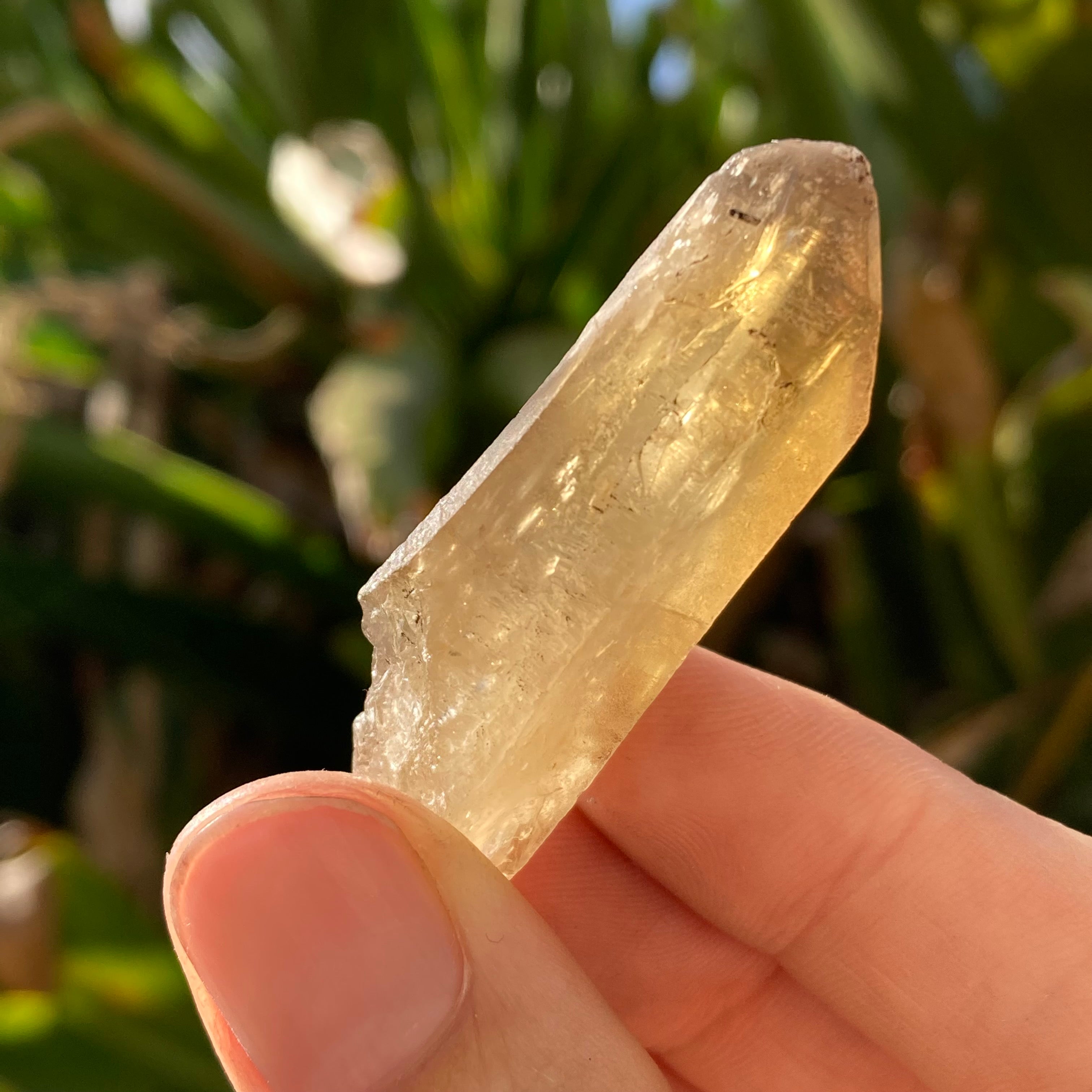 Natural purchases Citrine Cluster from Zambia/Congo