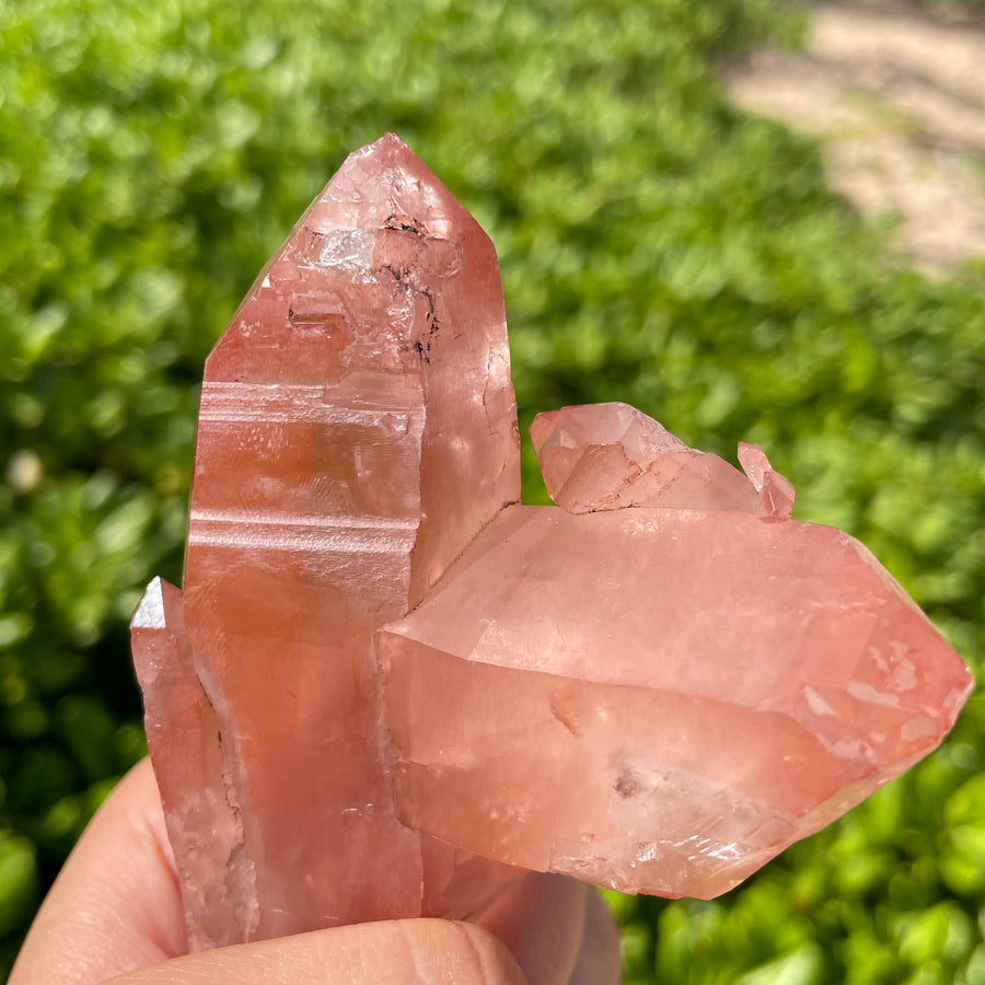 Rose Lemurian Quartz Crystal #1091