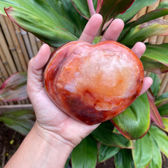 Carnelian #1215