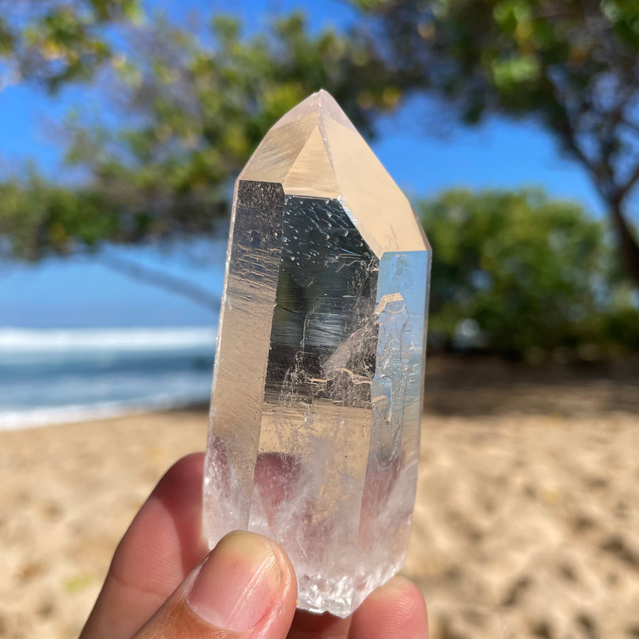 Clear Lemurian Quartz Crystal #1084