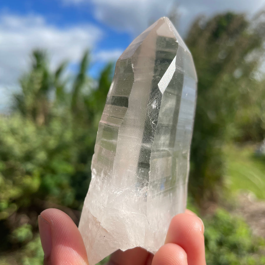 Clear Lemurian Quartz Crystal #1058