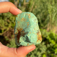 Alacran Turquoise #1151