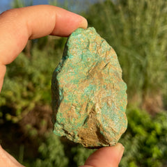 Alacran Turquoise #1150