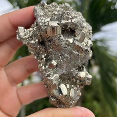 Pyrite #1460