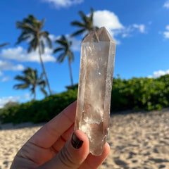 Smoky Lemurian Quartz Crystal #1447