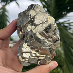 Pyrite #1463