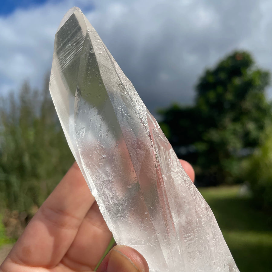 Clear Lemurian Quartz Crystal #1052