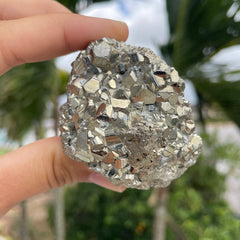 Pyrite #1462