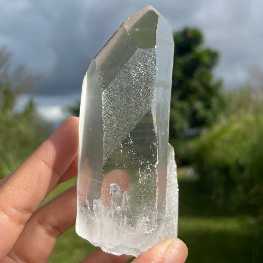 Clear Lemurian Quartz Crystal #1052