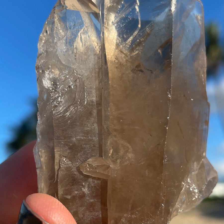Smoky Lemurian Quartz Crystal #1444
