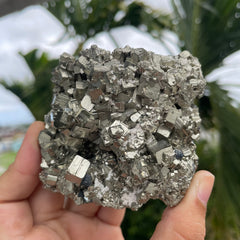 Pyrite #1455