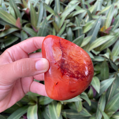 Carnelian #1214