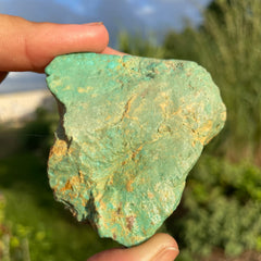 Alacran Turquoise #1153