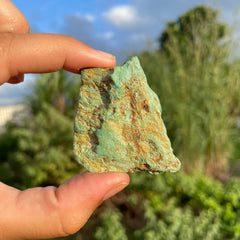 Alacran Turquoise #1154