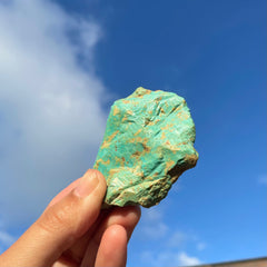 Alacran Turquoise #1140