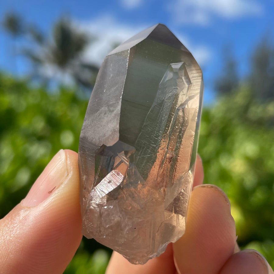 Smoky Lemurian Quartz Crystal #1431