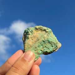 Alacran Turquoise #1143