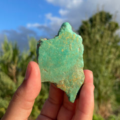Alacran Turquoise #1144