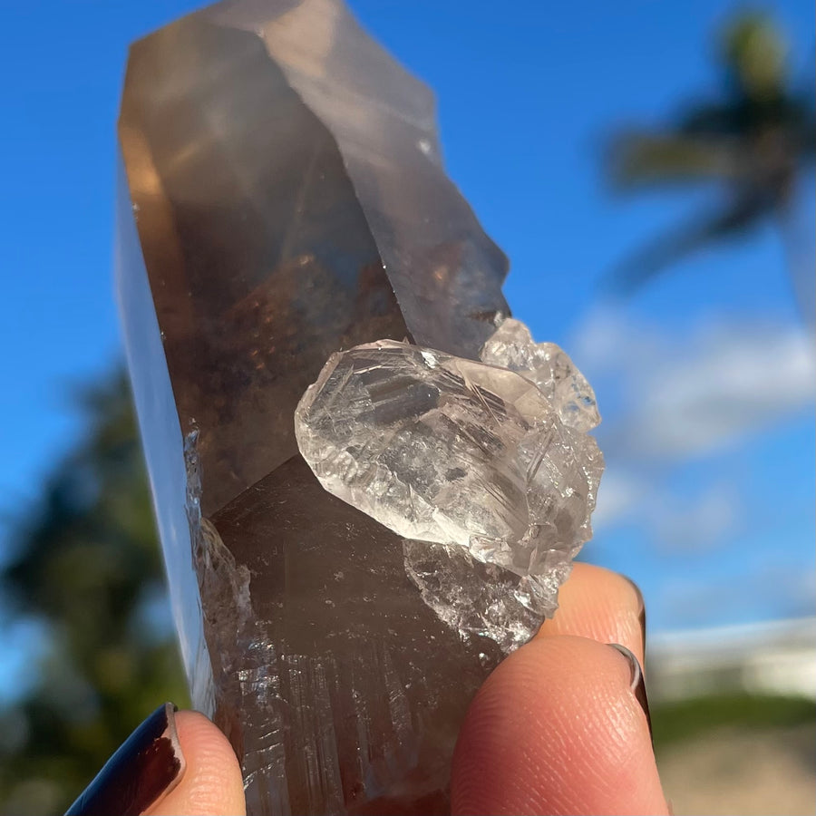 Smoky Lemurian Quartz Crystal #1445