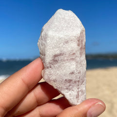 Snow Rose  Lemurian Quartz Crystal #1398