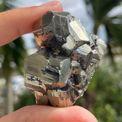 Pyrite #1474
