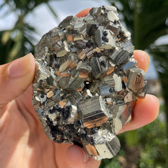 Pyrite #1473