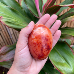 Carnelian #1204