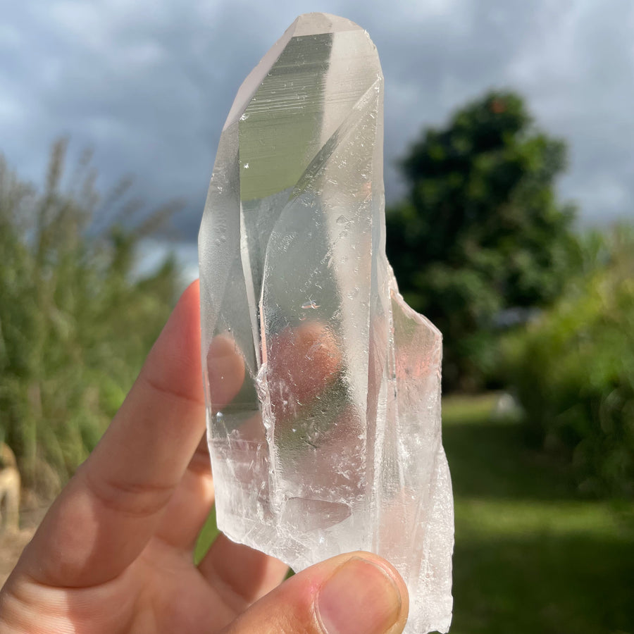 Clear Lemurian Quartz Crystal #1052