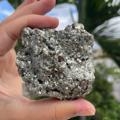 Pyrite #1464