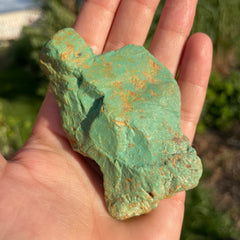 Alacran Turquoise #1147