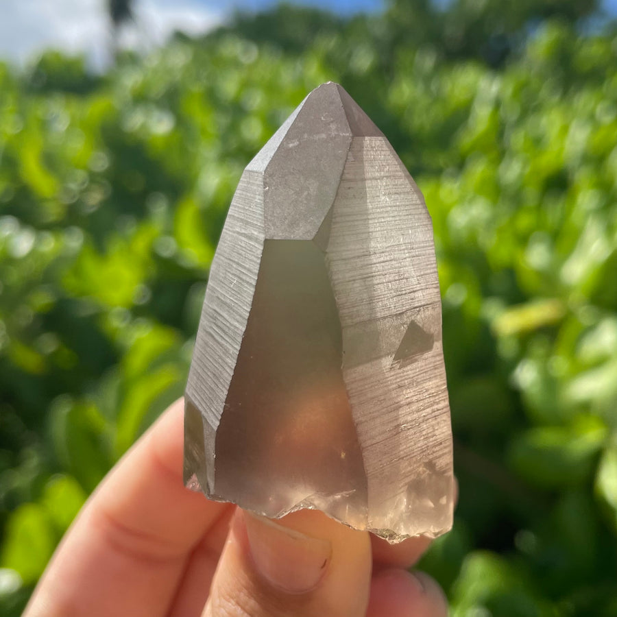 Smoky Lemurian Quartz Crystal #1443