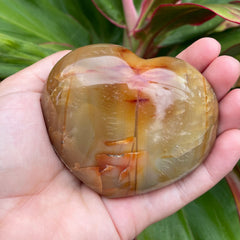 Carnelian #1203