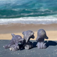 1x Blue Aventurine Dolphin!