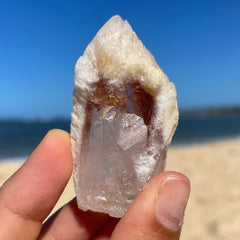 Snow Rose  Lemurian Quartz Crystal #1384